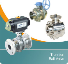 Trunnion Flange Ball Valve, Flanged Ball Valves