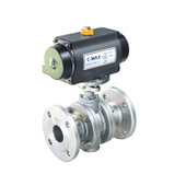 Trunnion Ball Vavle HMT21-F